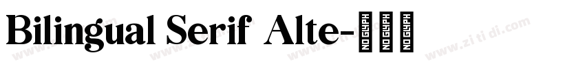 Bilingual Serif Alte字体转换 Bilingual Serif Alte字体转换